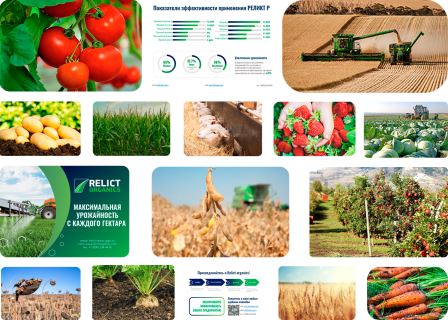 Презентация Genesis